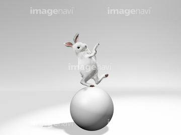 曲芸 玉乗り の画像素材 テーマ イラスト Cgの写真素材ならイメージナビ
