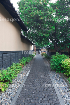 遊歩道 栗の小径 の画像素材 日本 国 地域の写真素材ならイメージナビ