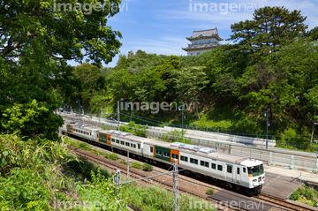 特急踊り子 の画像素材 鉄道 乗り物 交通の写真素材ならイメージナビ