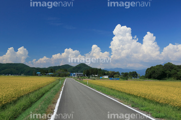 田舎 雲 日本 積乱雲 夏 昼 の画像素材 大地 自然 風景の写真素材ならイメージナビ