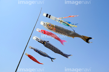 鯉のぼり の画像素材 行事 祝い事用品 オブジェクトの写真素材ならイメージナビ