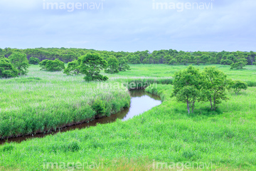 自然 風景 川 湖沼 湿地 釧路湿原 曇り 天気 の画像素材 写真素材ならイメージナビ