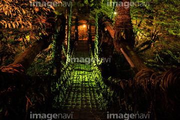 祖谷のかずら橋 ライトアップ の画像素材 交通イメージ 乗り物 交通の写真素材ならイメージナビ