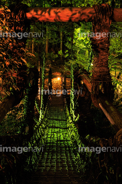 祖谷のかずら橋 ライトアップ の画像素材 交通イメージ 乗り物 交通の写真素材ならイメージナビ