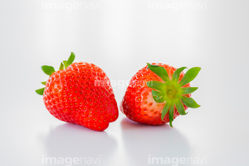 いちご イラスト スカイベリー の画像素材 その他植物 花 植物の写真素材ならイメージナビ