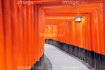 伏見稲荷大社の千本鳥居 の画像素材 日本 国 地域の写真素材ならイメージナビ
