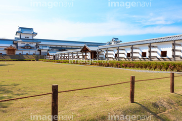 鶴の丸 の画像素材 生き物 イラスト Cgの写真素材ならイメージナビ