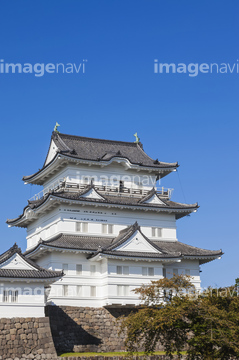 小田原城 の画像素材 日本 国 地域の写真素材ならイメージナビ