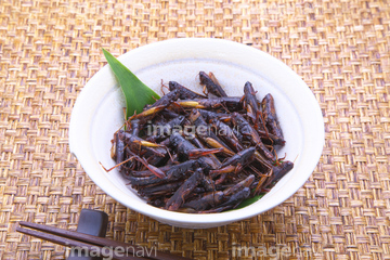 イナゴの佃煮 の画像素材 虫 昆虫 生き物の写真素材ならイメージナビ