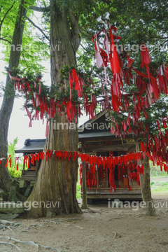 卯子酉大明神 の画像素材 日本 国 地域の写真素材ならイメージナビ