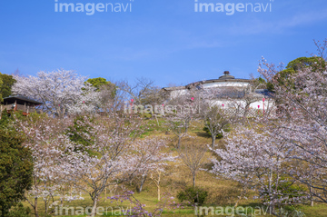 平草原公園 の画像素材 リゾート 田園 町並 建築の写真素材ならイメージナビ