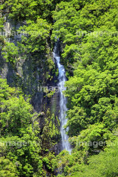 八草の滝 の画像素材 川 湖沼 自然 風景の写真素材ならイメージナビ