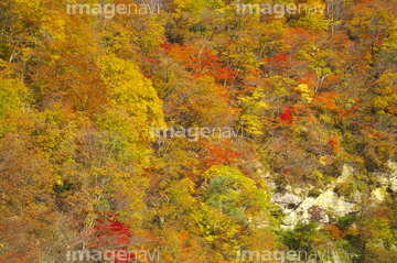 三途川 の画像素材 交通イメージ 乗り物 交通の写真素材ならイメージナビ