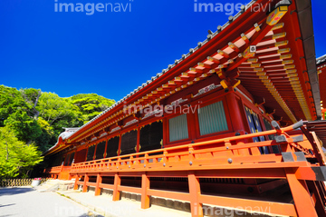 鶴岡八幡宮 の画像素材 日本 国 地域の写真素材ならイメージナビ