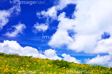 山地帯夏緑樹林 の画像素材 花 植物の写真素材ならイメージナビ