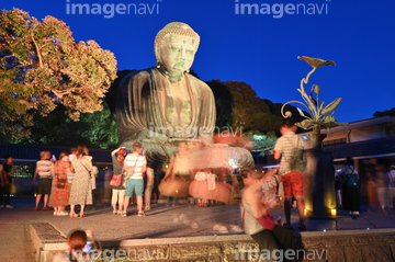 鎌倉大仏 の画像素材 公園 文化財 町並 建築の写真素材ならイメージナビ