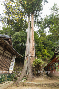 夫婦和合 の画像素材 日本 国 地域の写真素材ならイメージナビ