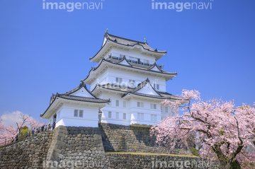 小田原城 の画像素材 日本 国 地域の写真素材ならイメージナビ