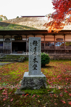 寄棟造り の画像素材 葉 花 植物の写真素材ならイメージナビ