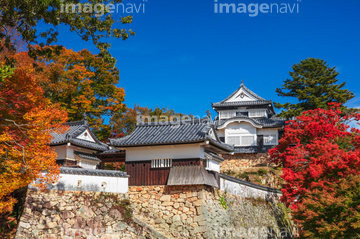 松山城 の画像素材 日本 国 地域の写真素材ならイメージナビ