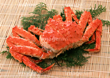 タラバガニ の画像素材 魚介 食べ物の写真素材ならイメージナビ