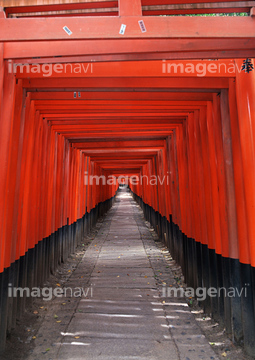伏見稲荷大社の千本鳥居 の画像素材 日本 国 地域の写真素材ならイメージナビ