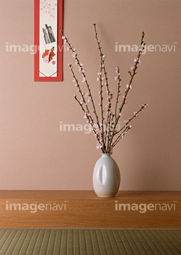 日本 田舎 床の間 縁側 冬 秋 茶室 花の部分 花器 の画像素材 部屋 住宅 インテリアの写真素材ならイメージナビ