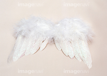 天使の羽根 の画像素材 エネルギー エコロジーの写真素材ならイメージナビ