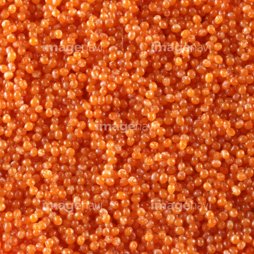 つぶつぶ オレンジ色 の画像素材 魚介 食べ物の写真素材ならイメージナビ