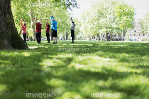 
Active seniors exercising, practicing yoga in park